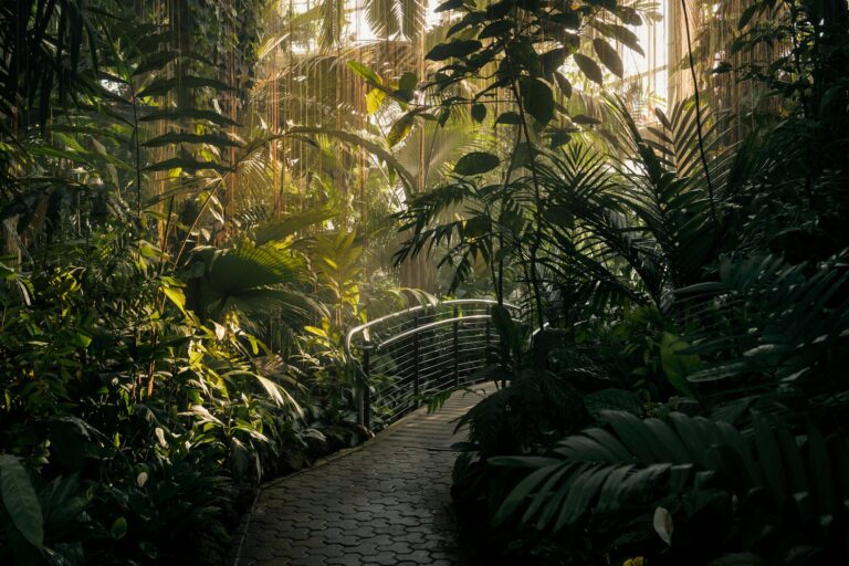 Atlanta Focus Groups Paying $125-$325 — Healthcare and Tech Studies - Featured image