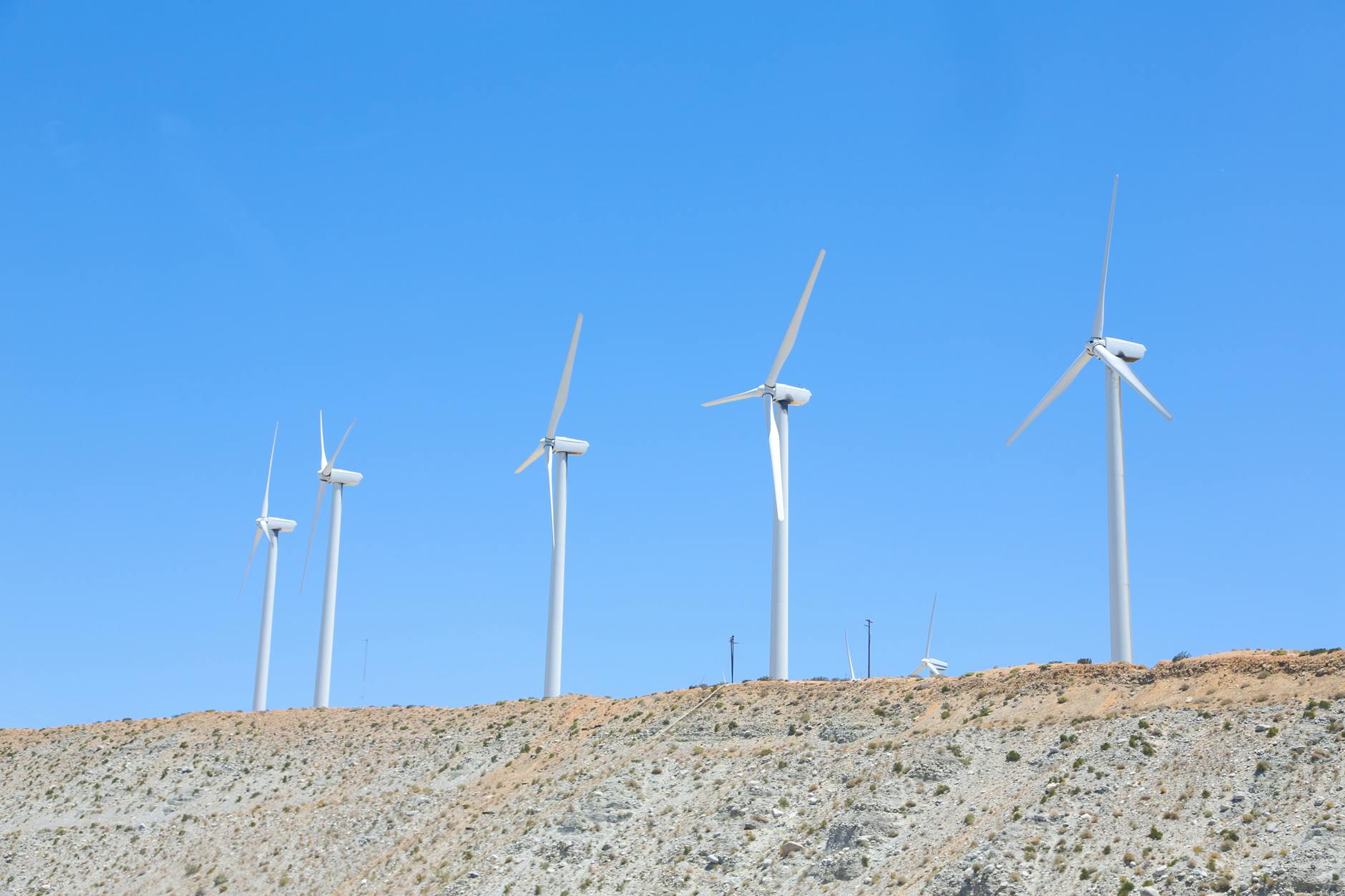 Building a System That Generates Consistent Opportunities