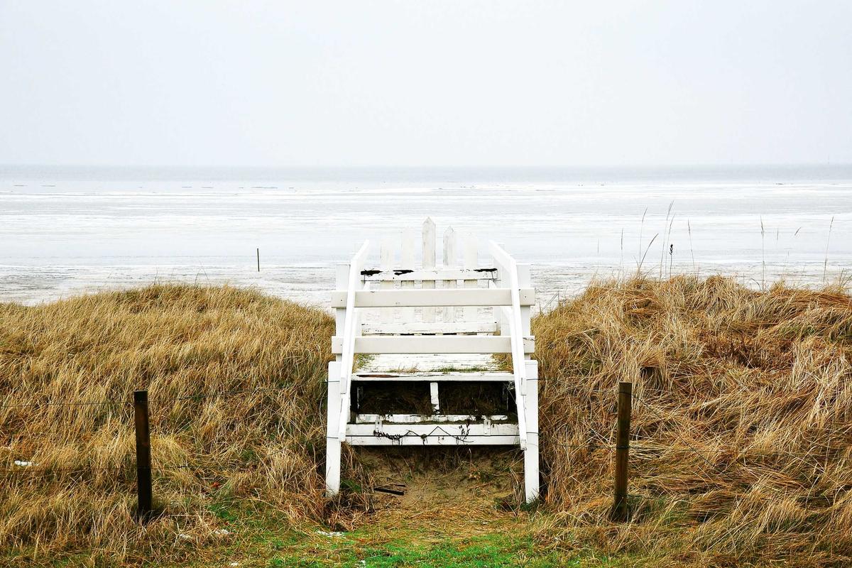 Common Disqualifiers and Participation Limits