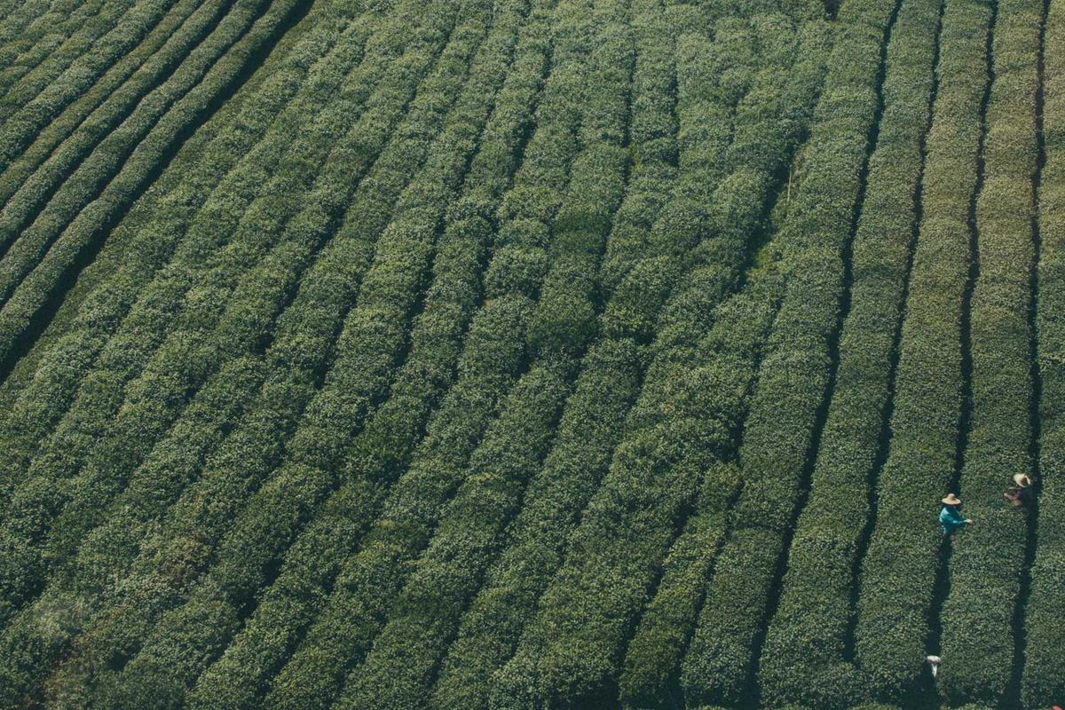 Common Pitfalls and Honest Warnings About Paid Focus Groups in Miami