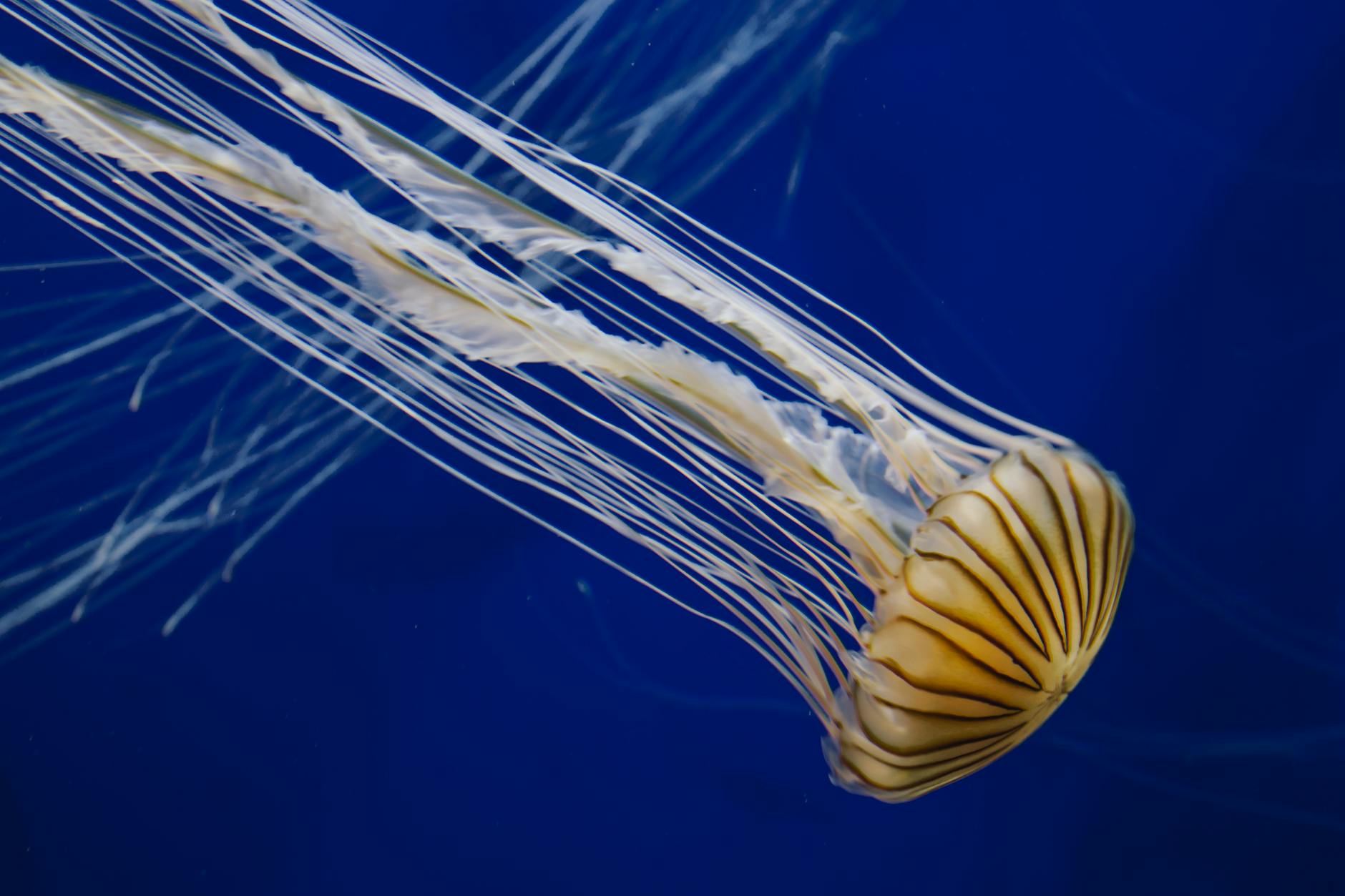 How Much Do Atlanta Focus Groups Pay for Healthcare and Tech Studies?