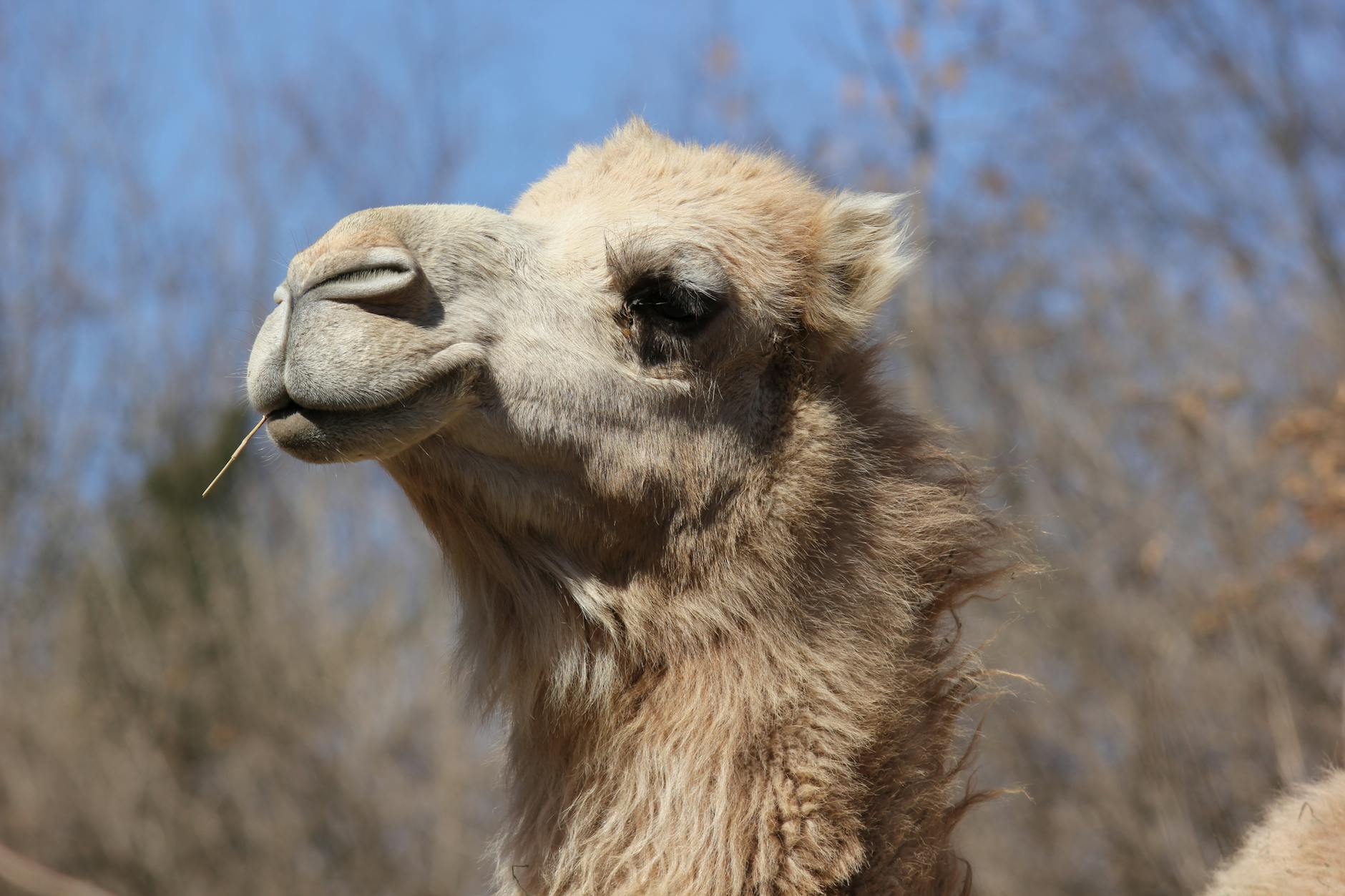 How Much Do Kansas City Focus Groups Actually Pay?