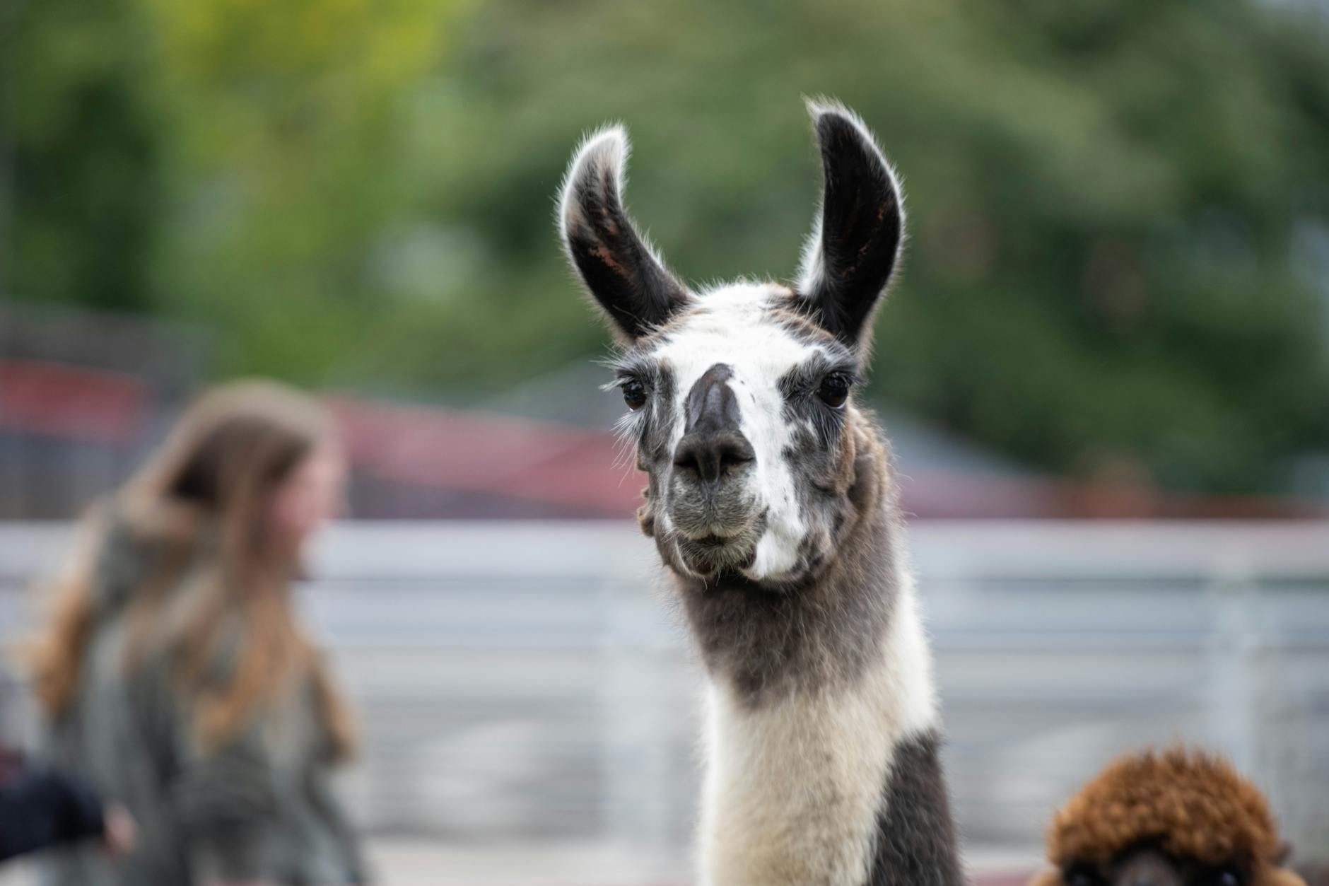 How Much Do Milwaukee Beer and Food Focus Groups Actually Pay?