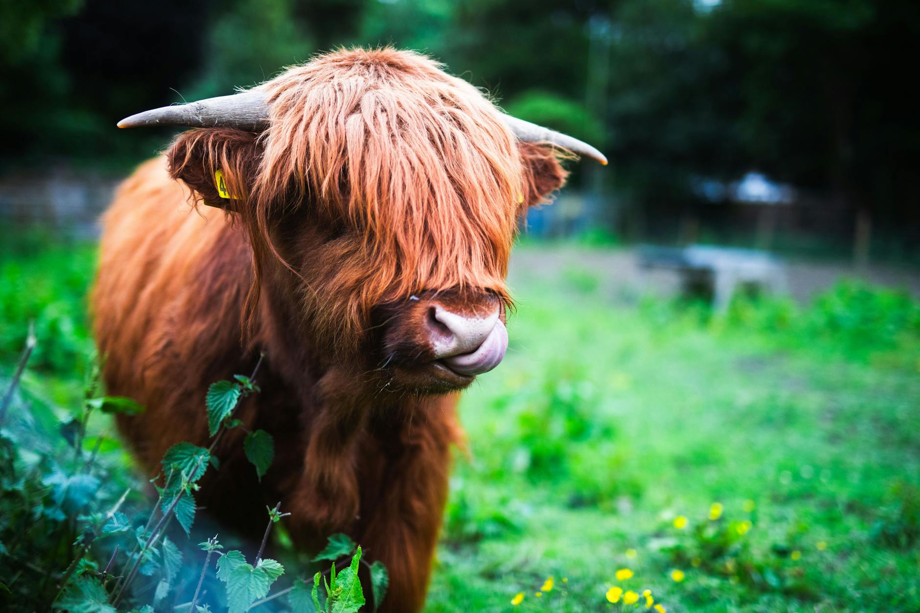 How Much Do Paid Medical Studies for Healthy Adults Actually Pay?