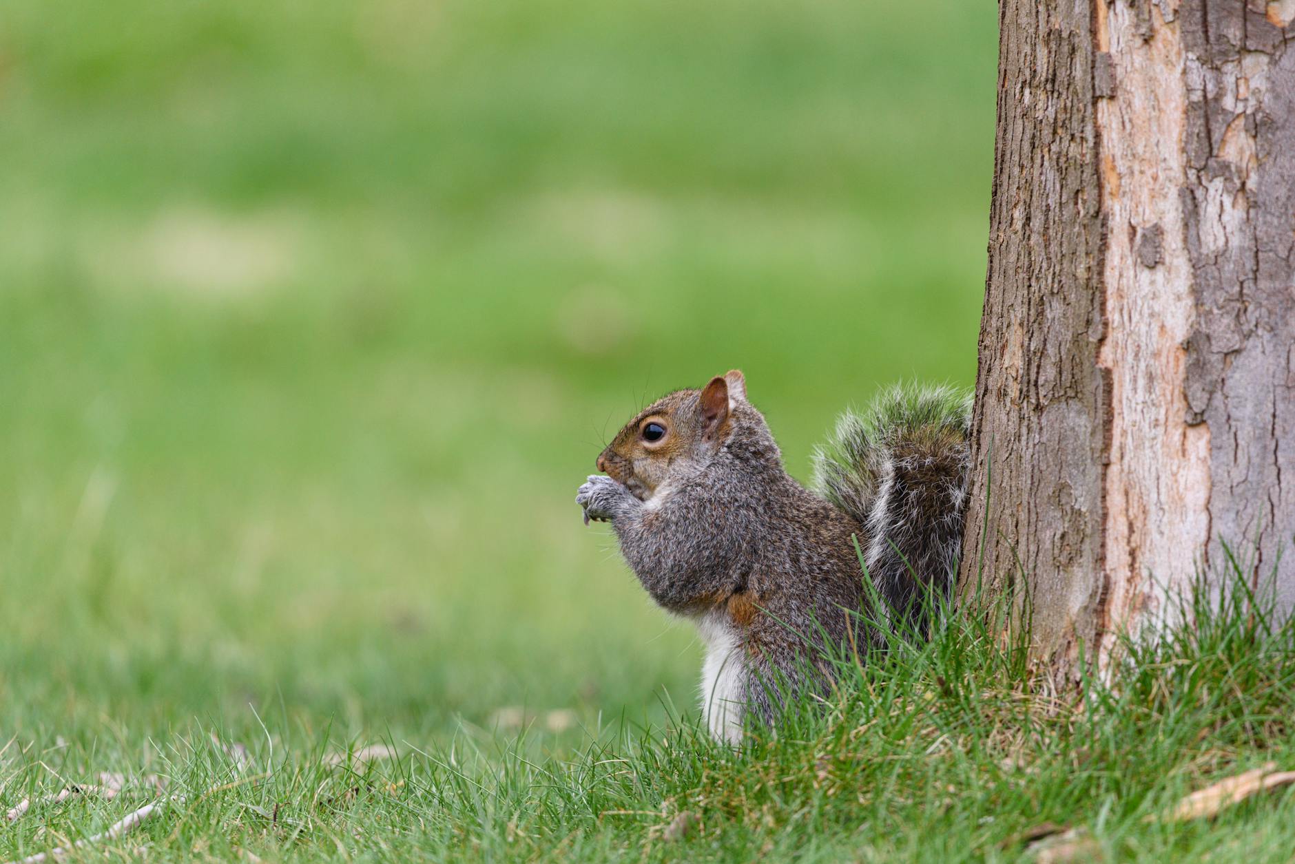 How Much Do Pittsburgh Focus Groups Pay for Healthcare and Tech Studies?