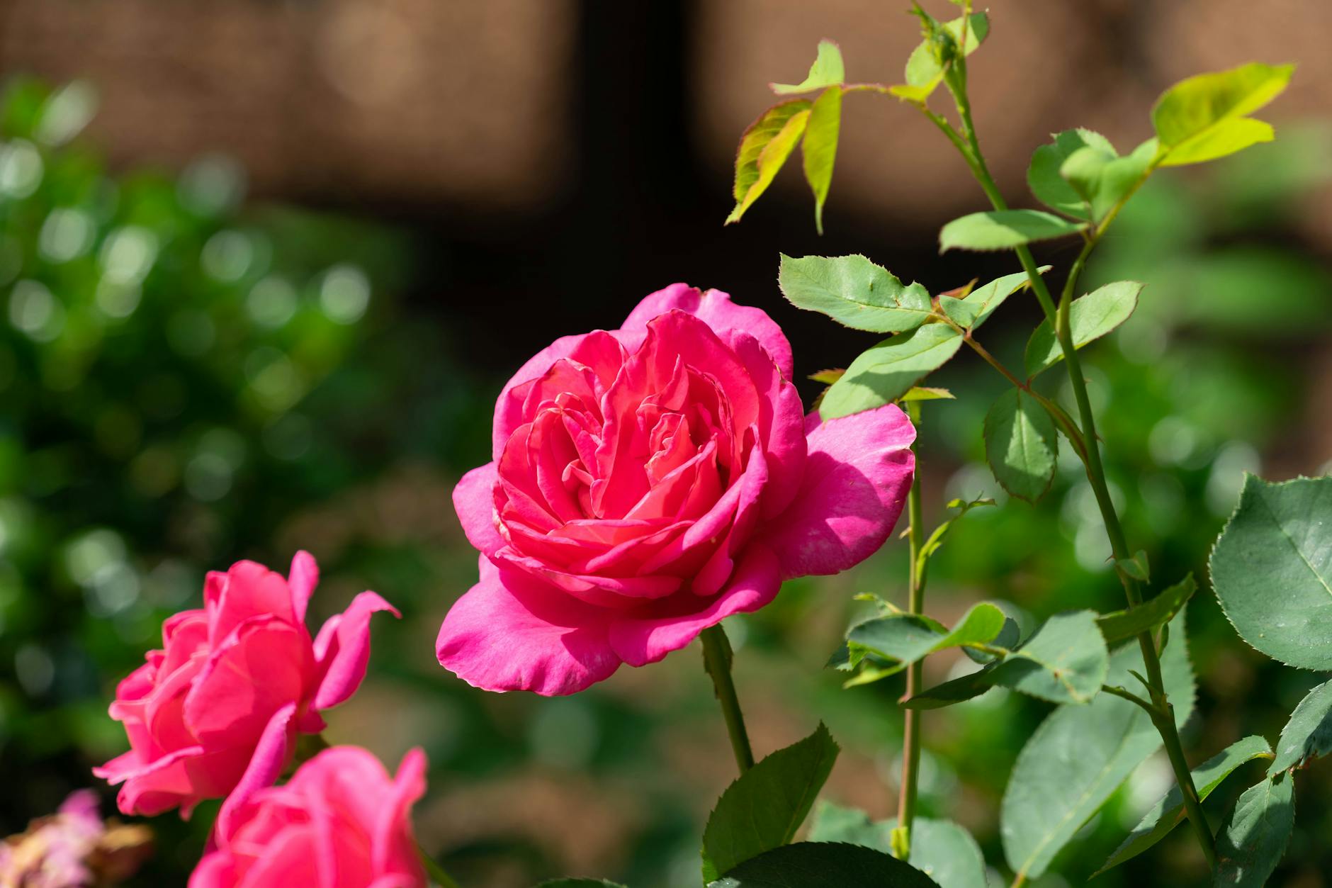 Major Charlotte Focus Group Facilities You Should Know