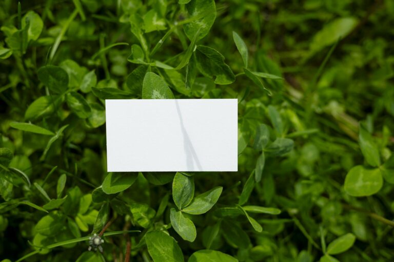 Mock Jury Studies: Get Paid $100+ to Give Your Legal Opinion - Featured image