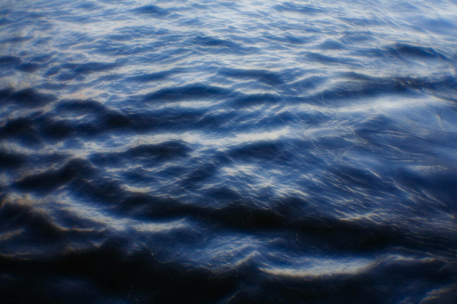 What Are the Current Payment Rates for UX Testing Studies?