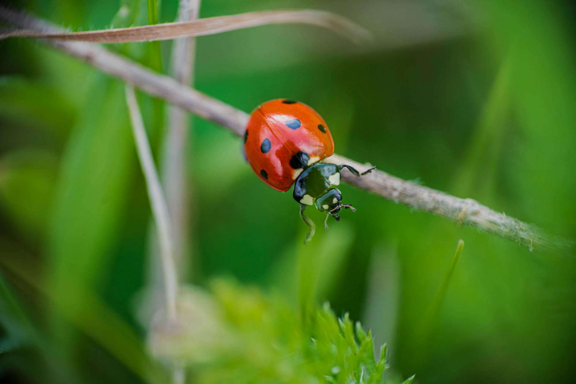 What Are the Seven Types of Paid Research Studies and What Do They Pay?