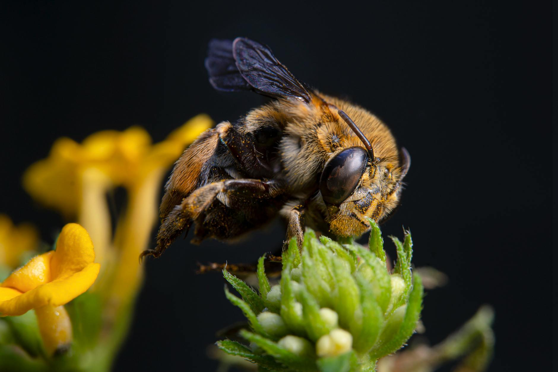 Where CDL Holders Can Find Legitimate Paid Focus Groups