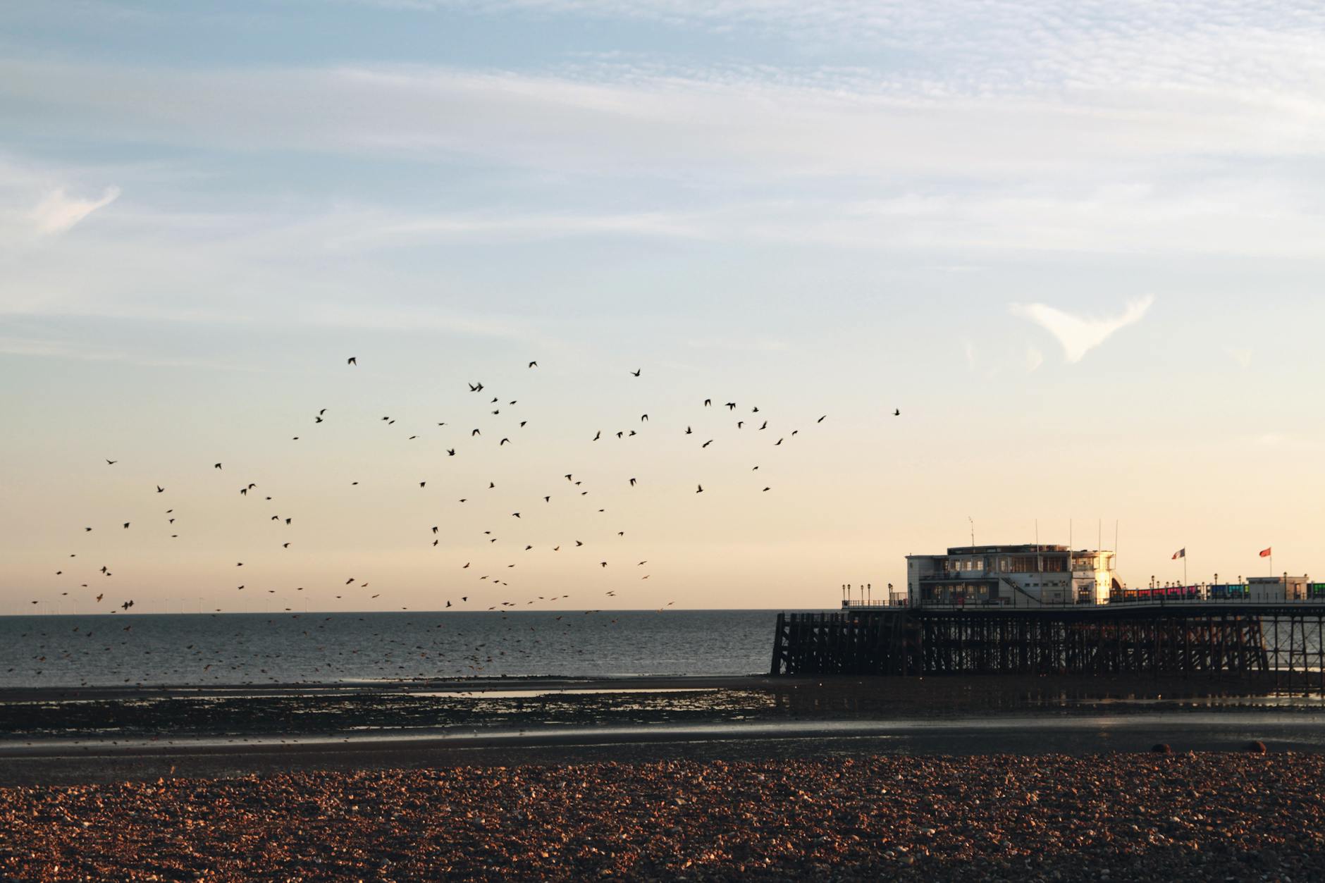 Which Platforms Are Worth Signing Up For?