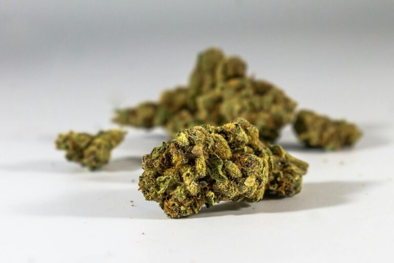 Cannabis Focus Groups Paying $100-$300 — Legal State Consumer Studies - Featured image