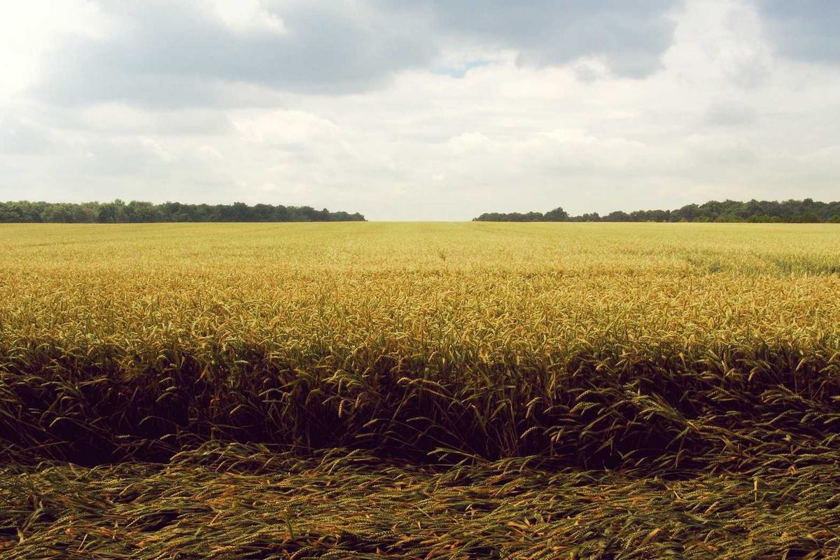 Console, PC, and Mobile Gaming—Do Specific Platforms Pay More?