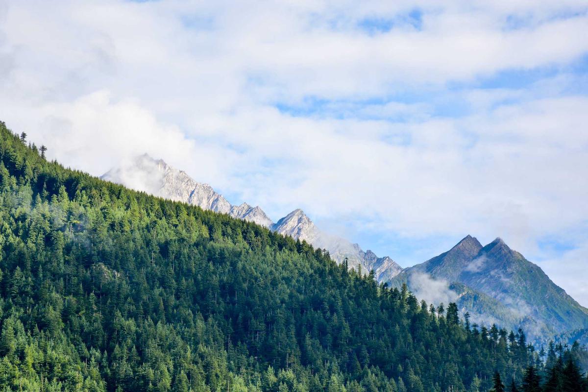 How Much Do Adler Weiner Focus Groups Actually Pay and What Determines the Rate?