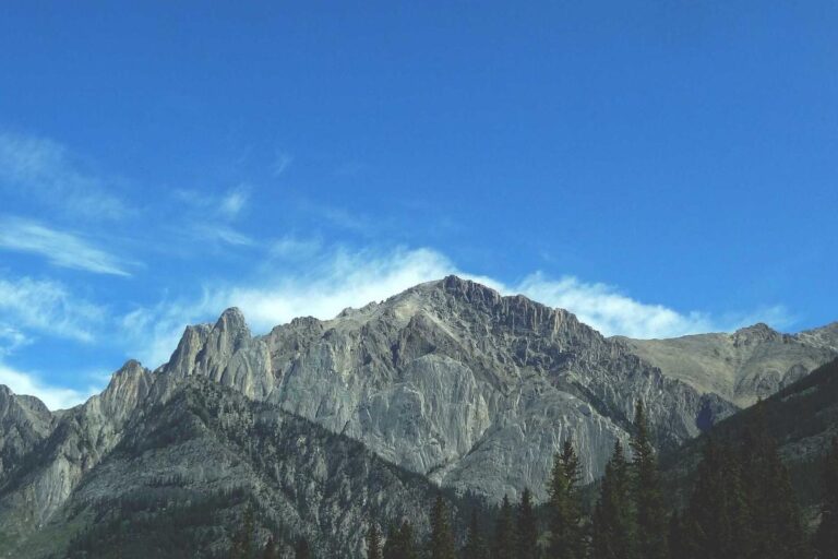 How to Make Focus Groups a Consistent Side Income — $500-$2,000/Month - Featured image