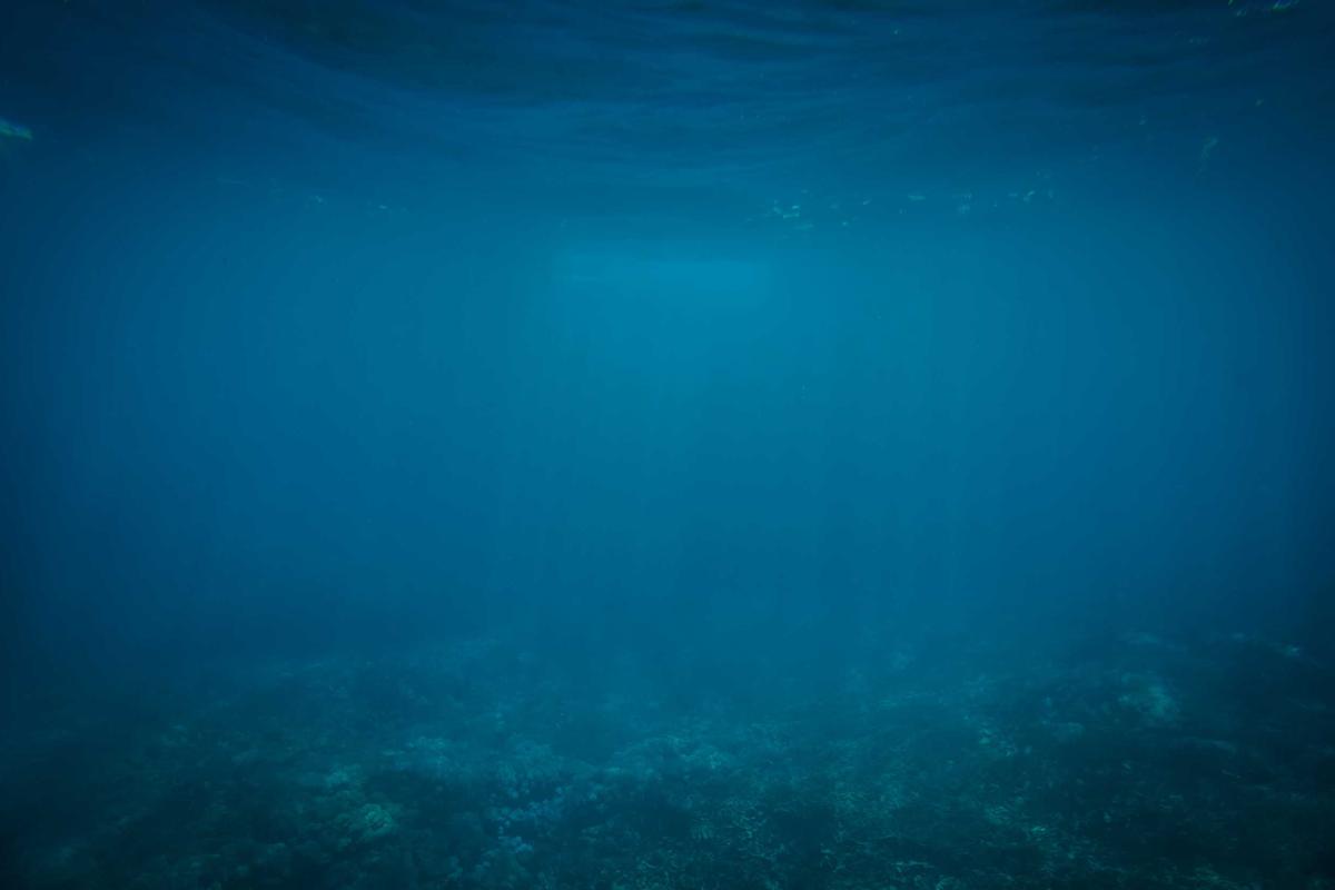 Understanding Why Screener Questions Exist and What Researchers Really Want