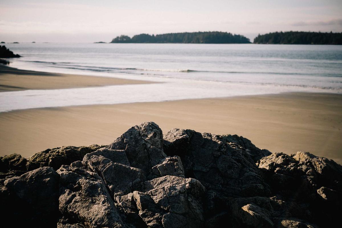 Where Do Actual Paid Remote Focus Groups Exist?