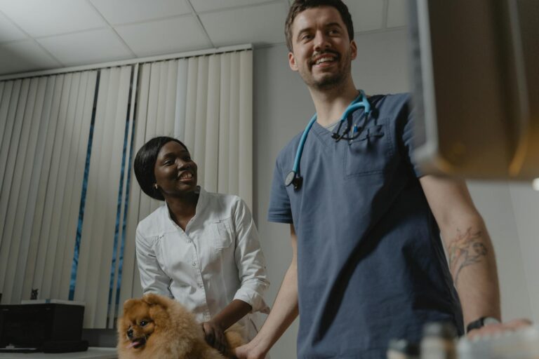 Focus Groups for Veterinarians — $200-$500 Animal Health Product Studies - Featured image