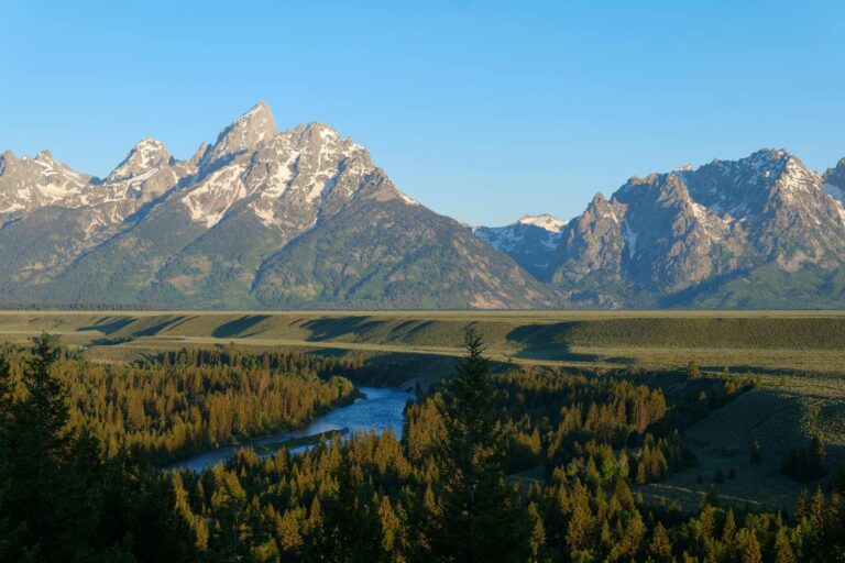 Focus Groups in Wyoming Paying $75-$200 — Energy and Tourism Studies - Featured image