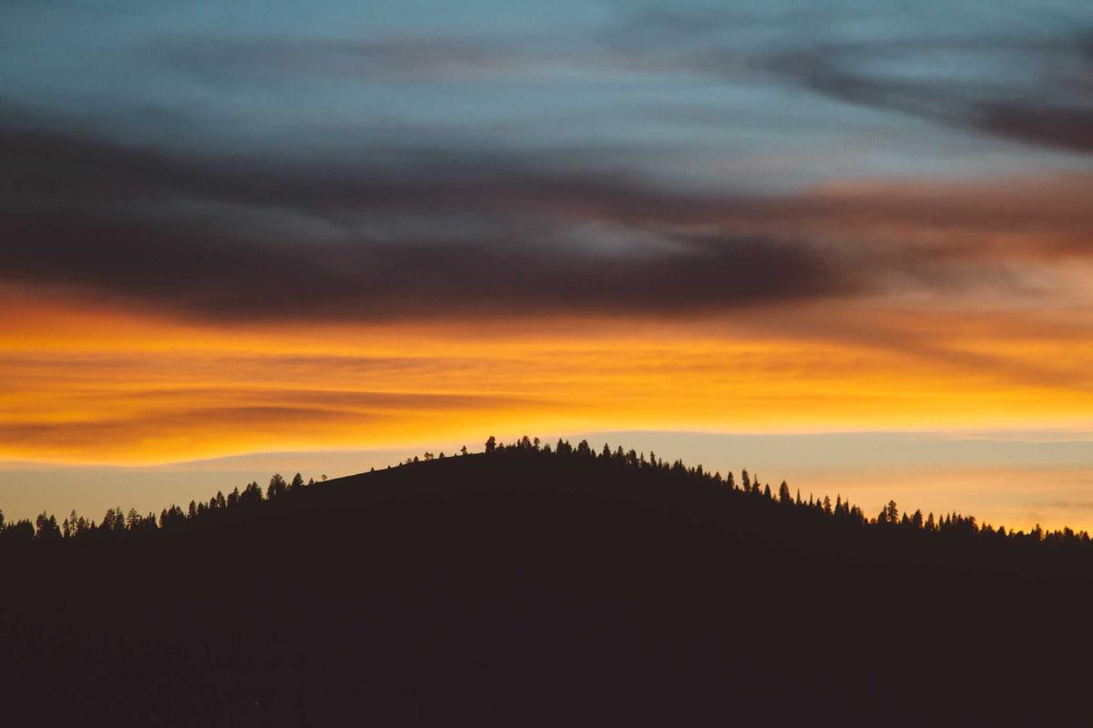 Government-Sponsored vs. Commercial Focus Groups in New Mexico