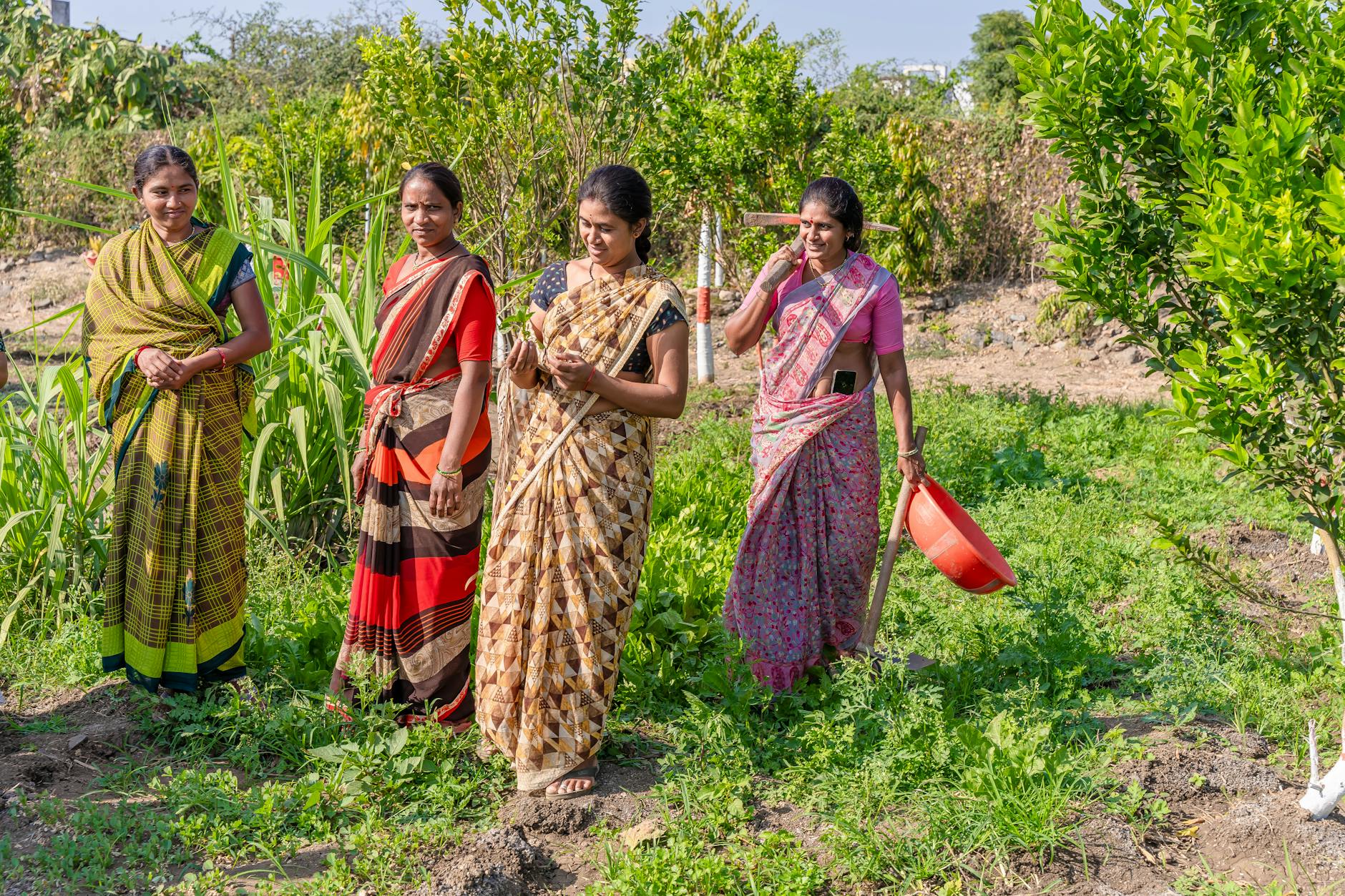 Insurance and Agriculture as Focus Group Growth Areas