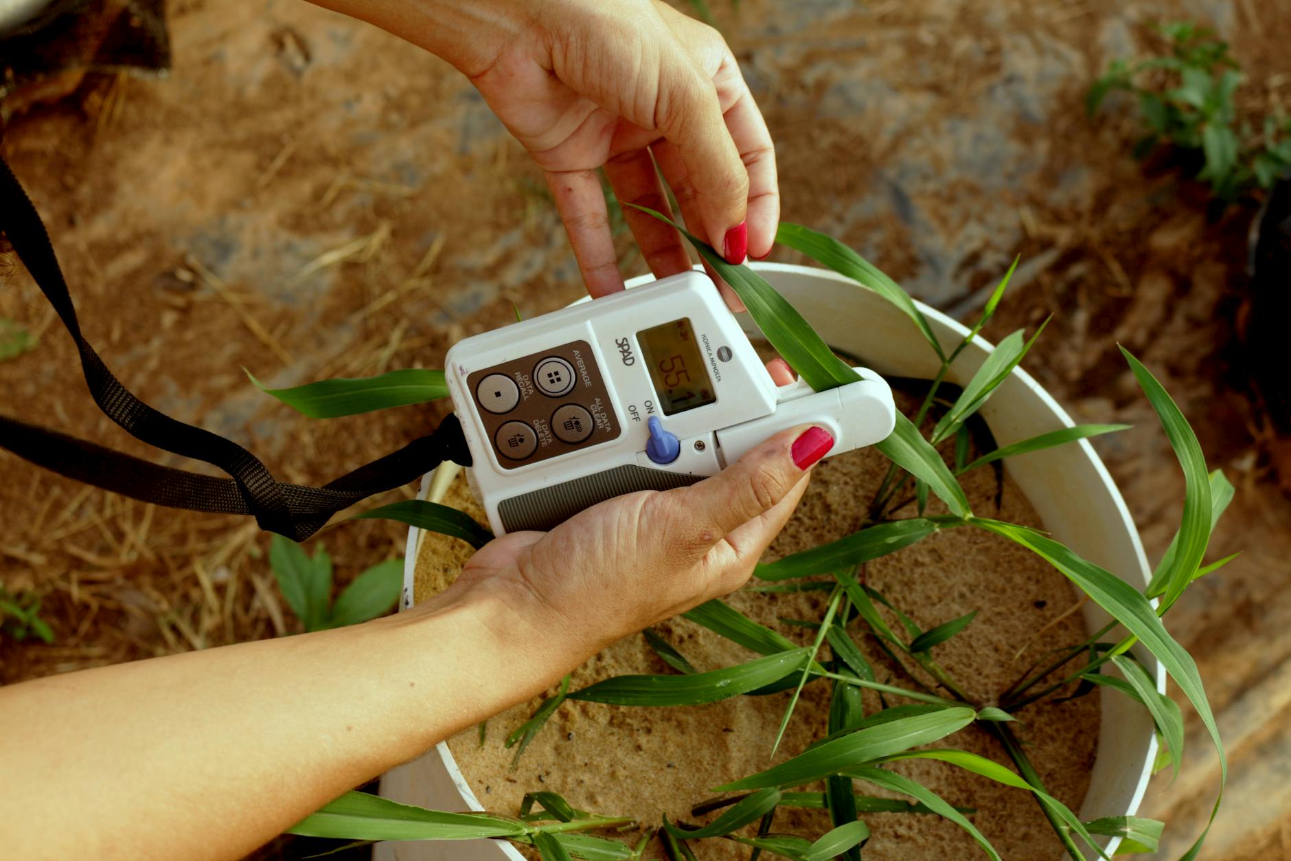 Outdoor Recreation Studies and Environmental Research Opportunities