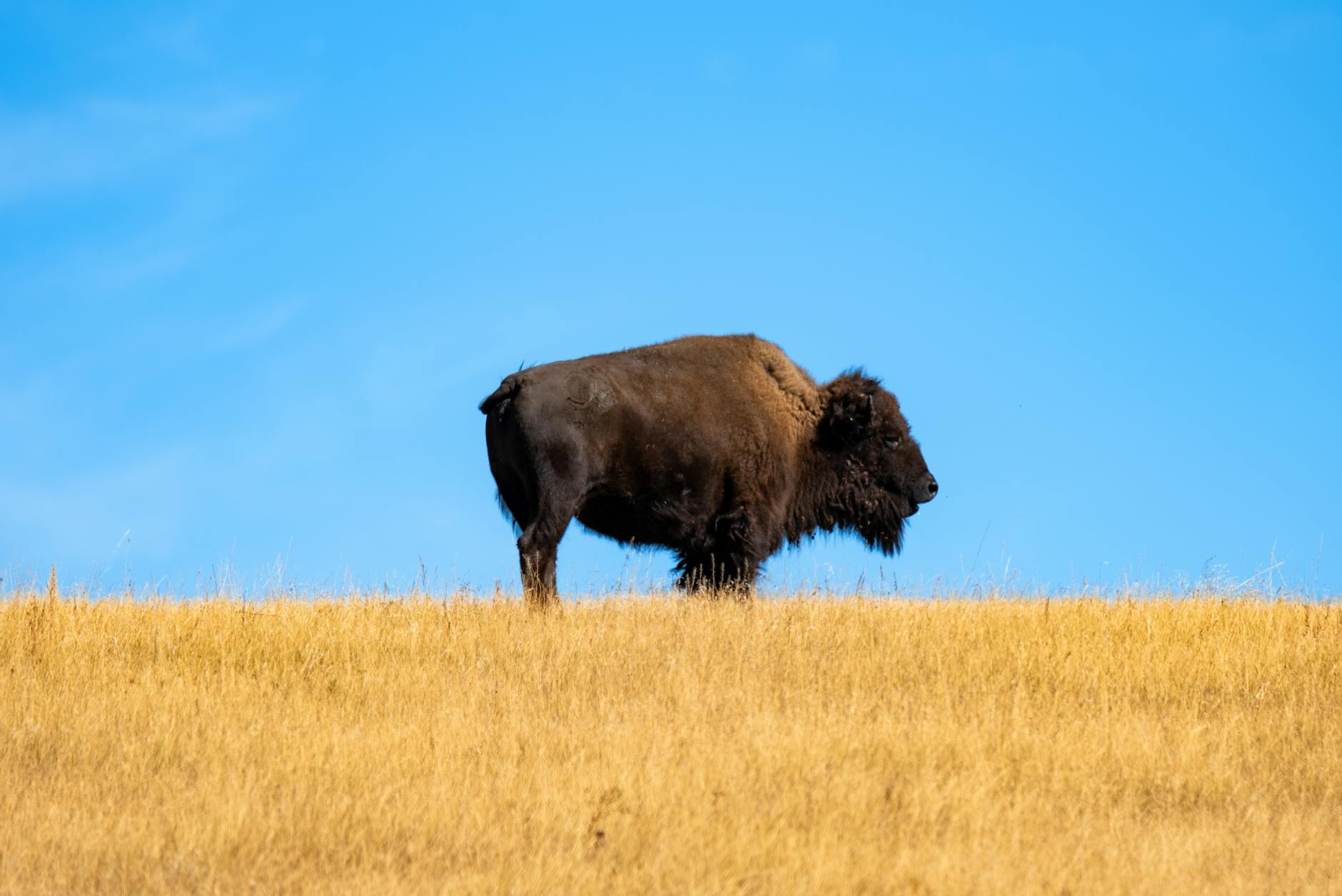 The Broader North Dakota Research Landscape