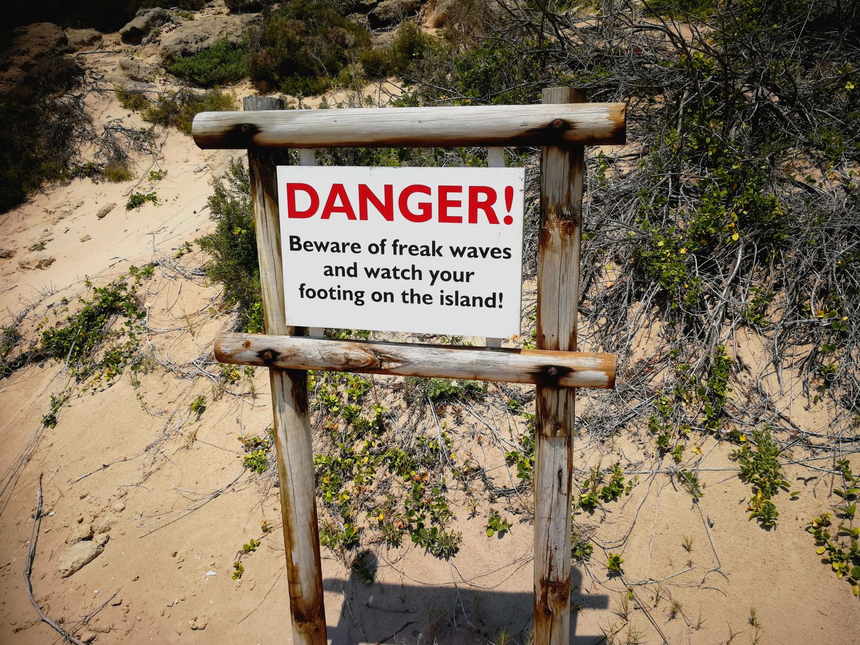 Warnings and Limitations: What to Watch Out For