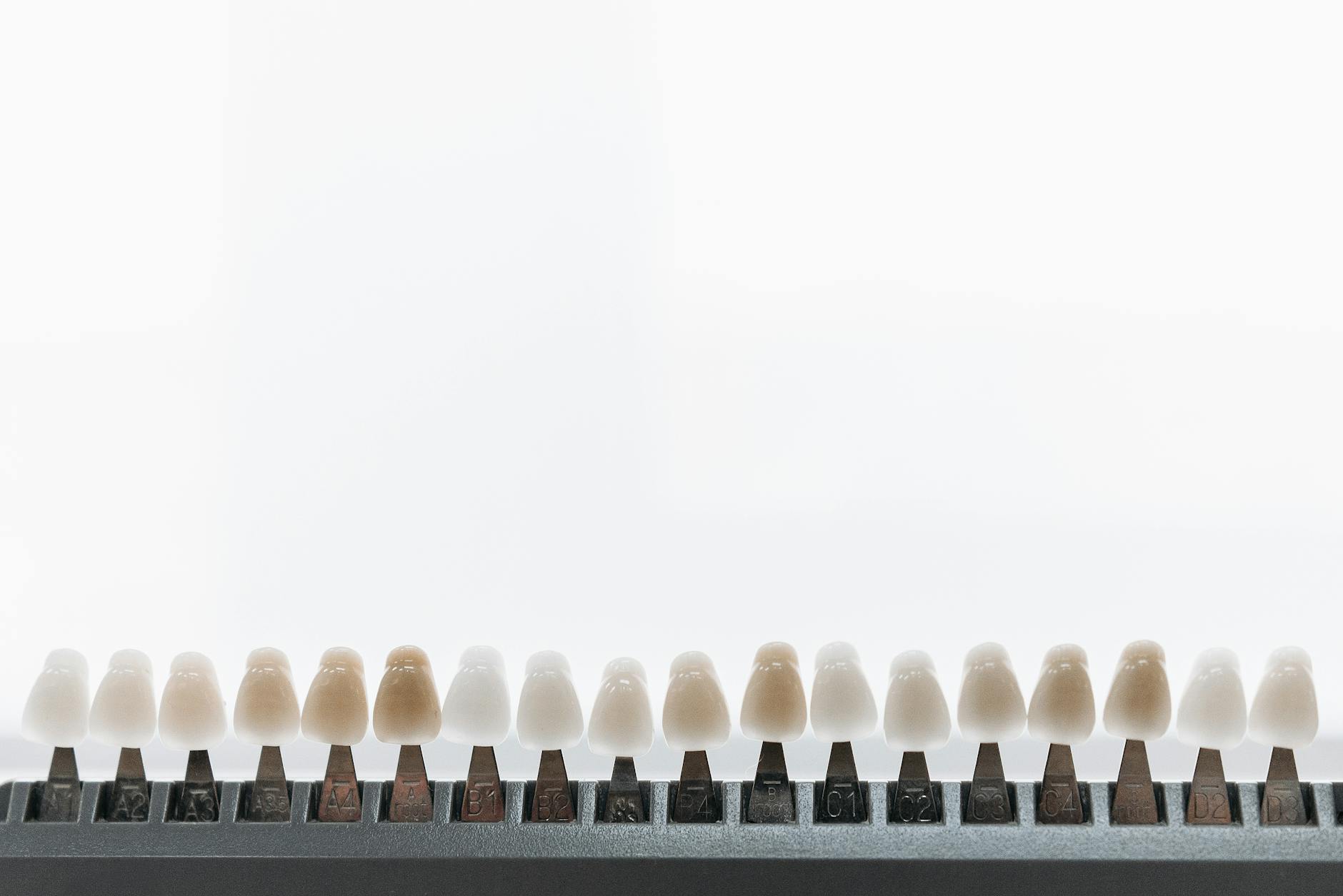 What Types of Dental Equipment and Software Are Discussed in These Focus Groups?