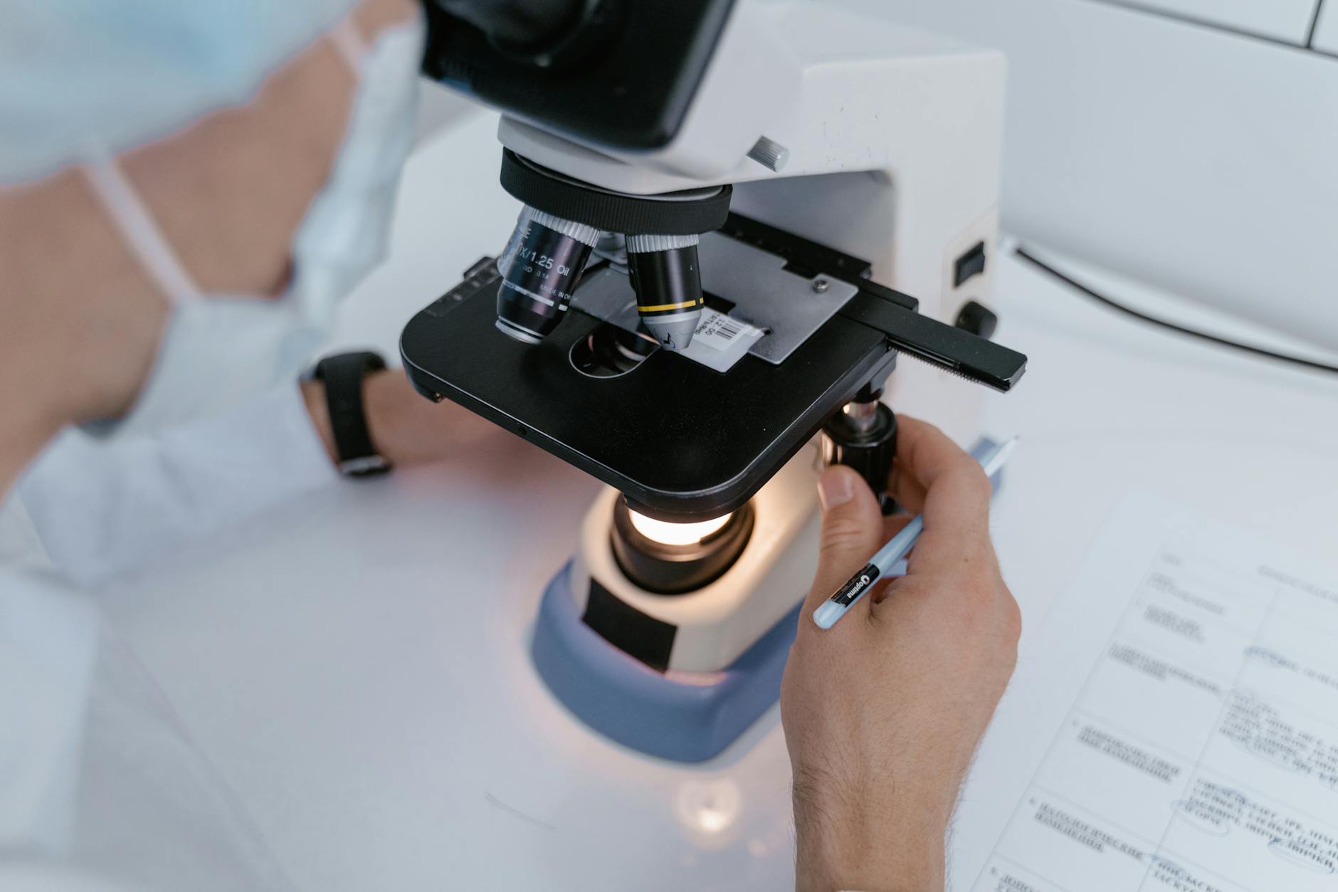 What Types of Kidney Disease Studies Pay for Participation?