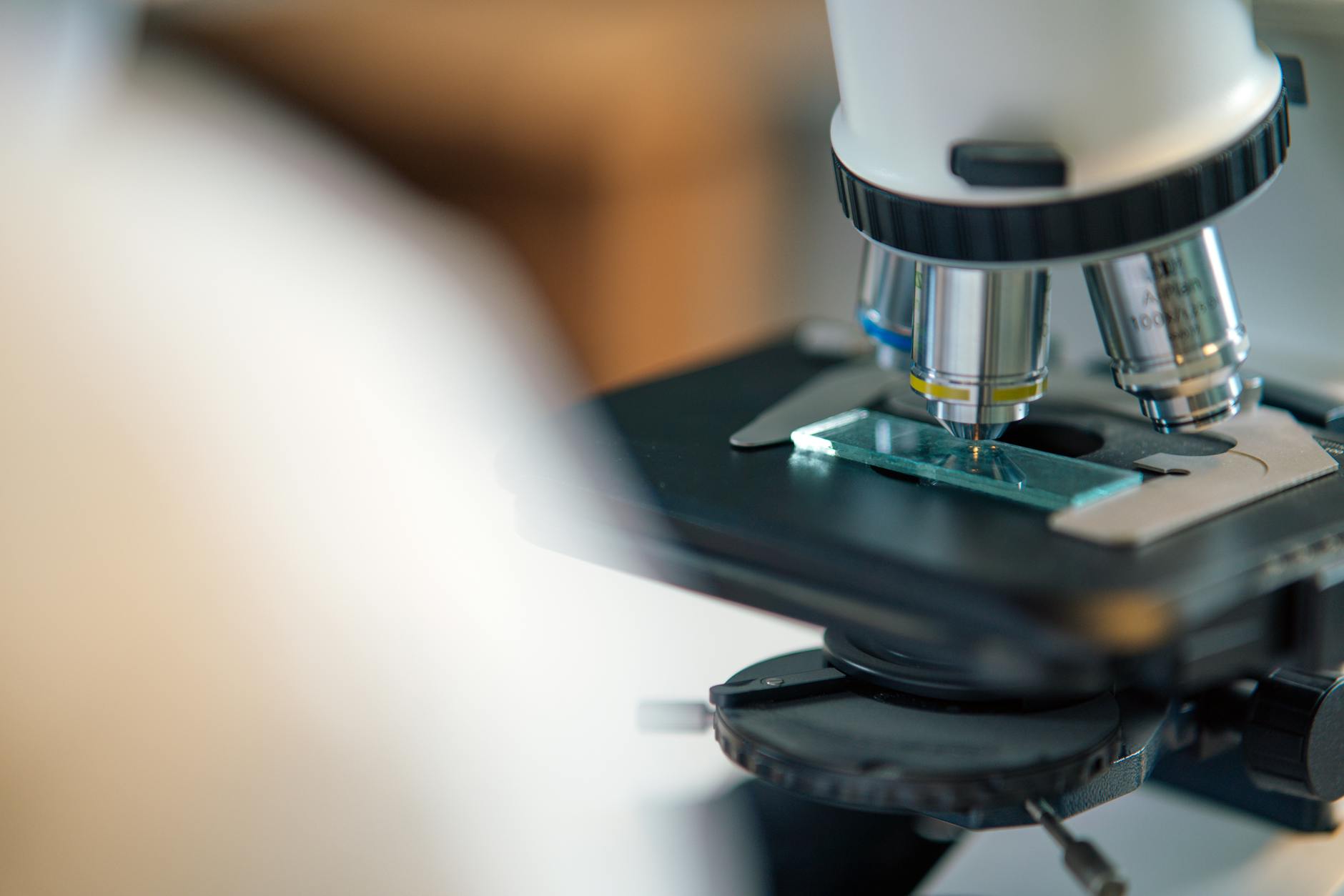 What Types of Research Opportunities Are Available for People With Disabilities?