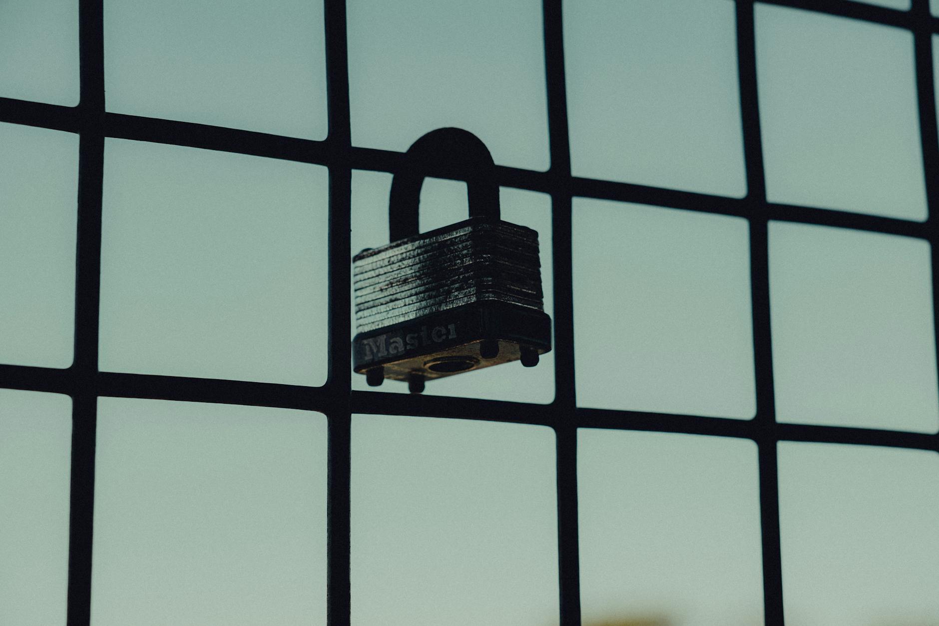 What Types of Security Products and Topics Are Covered in These Studies?