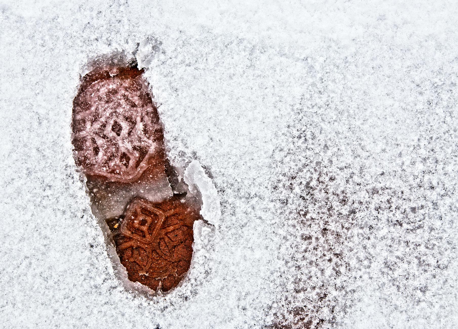 Where to Find and Verify Legitimate Frozen Food Focus Groups