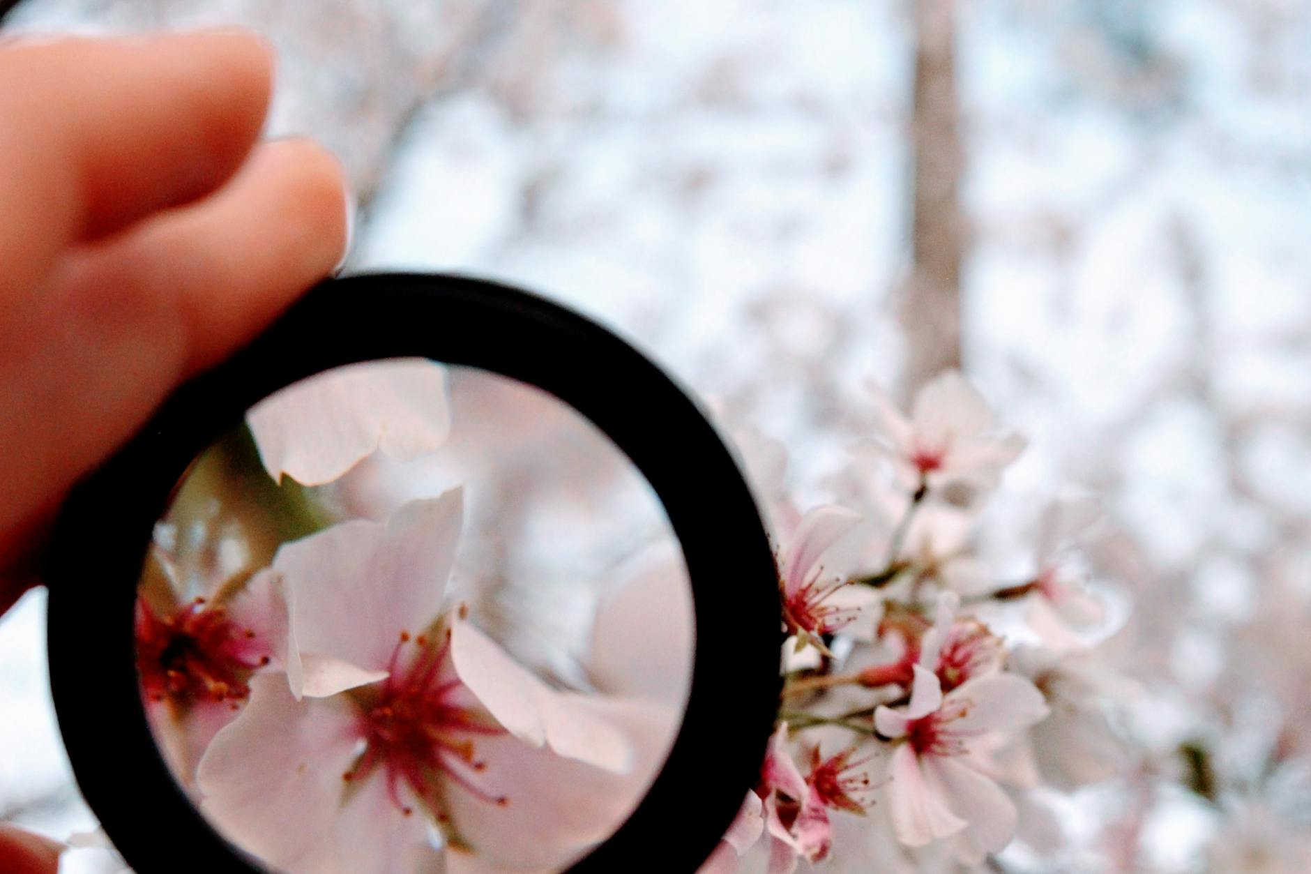 Where to Find Focus Groups Paying $75–$200 in Fargo