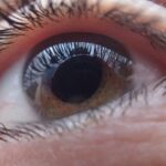 What Is New With Eyecare Paid Focus Group Studies in August 2026? Latest study listings and sponsor terms and Key Takeaways - Featured image