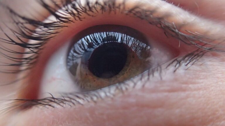 What Is New With Eyecare Paid Focus Group Studies in August 2026? Latest study listings and sponsor terms and Key Takeaways - Featured image