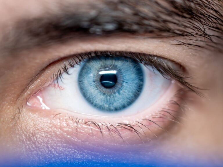 Does Kits Eyecare Stock News Affect Paid Study Sponsors? - Featured image